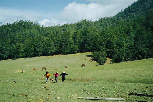 云南旅游,云南旅行社,云南團(tuán)建公司,云南策劃公司,云南會(huì)議會(huì)展,云南旅游地接,怒江旅游,怒江旅行社,怒江團(tuán)建公司,怒江策劃公司：“被羅古箐的山野擁抱、滌凈，再神清氣爽地回去”